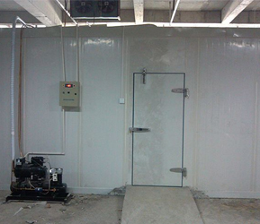 氣調(diào)保險冷庫