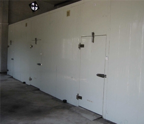 氣調(diào)保險冷庫