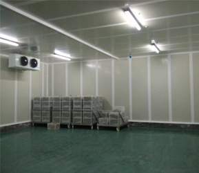 水果氣調(diào)保鮮庫 水果氣調(diào)保鮮庫